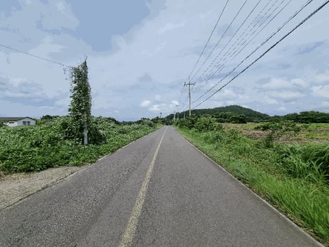 물건 사진 33