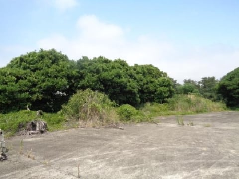 물건 사진 18