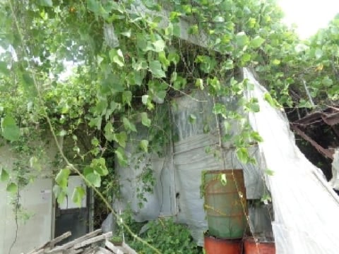 물건 사진 20