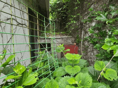 물건 사진 24