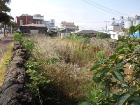 물건 사진 22