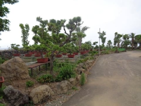 물건 사진 11