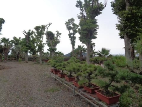 물건 사진 21