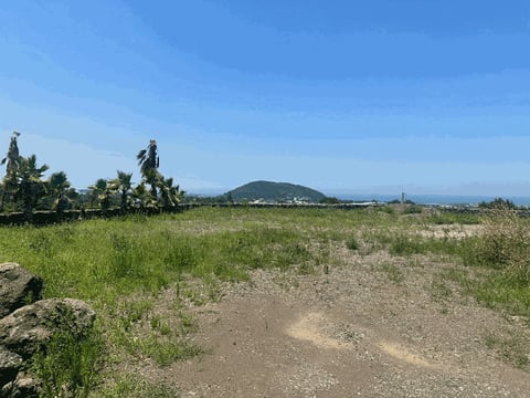 물건 사진 43