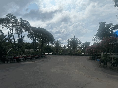 물건 사진 49