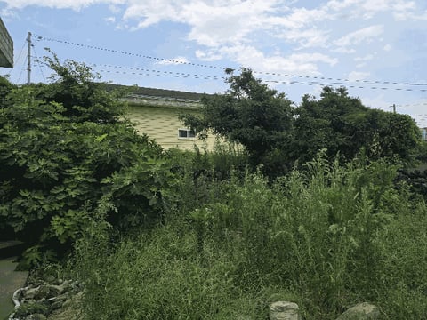 물건 사진 11