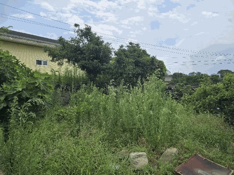 물건 사진 12