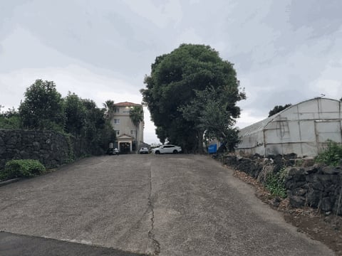 물건 사진 15