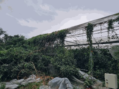 물건 사진 18