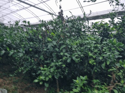 물건 사진 19