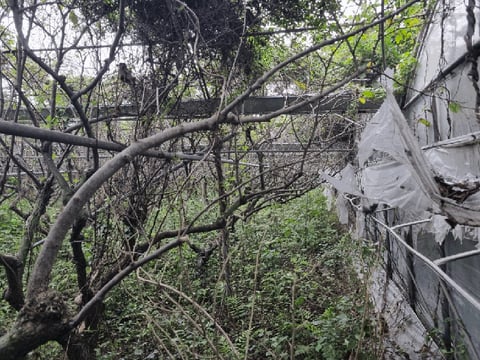 물건 사진 25