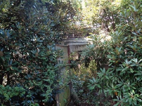 물건 사진 10