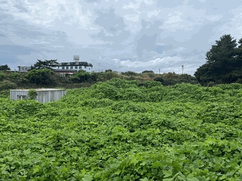 물건 사진 3