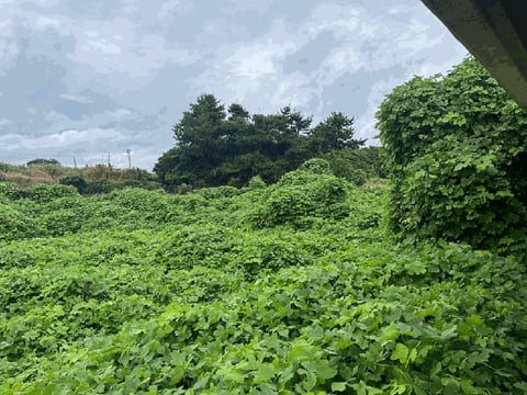물건 사진 4