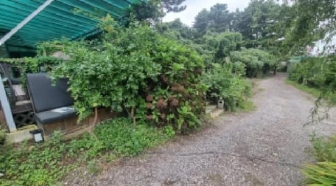 물건 사진 7
