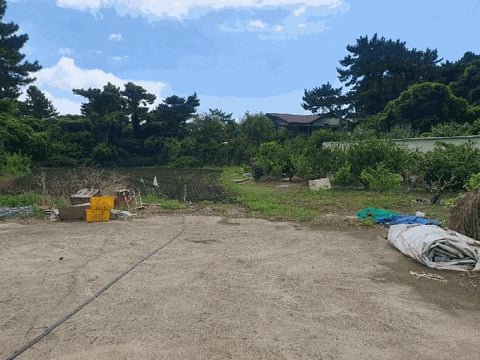 물건 사진 18