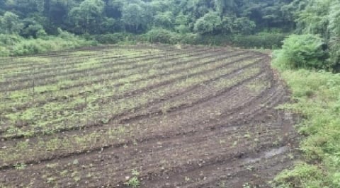 물건 사진 9