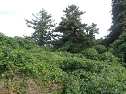 물건 사진 15