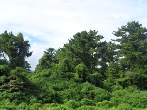 물건 사진 18