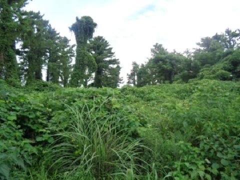 물건 사진 24