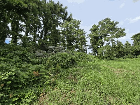 물건 사진 28