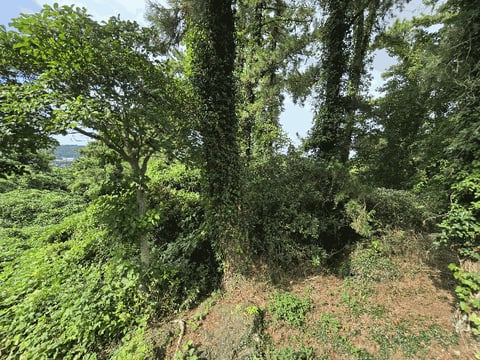 물건 사진 30