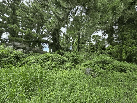 물건 사진 32