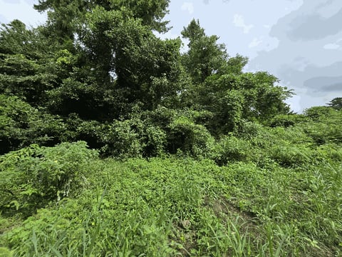 물건 사진 33