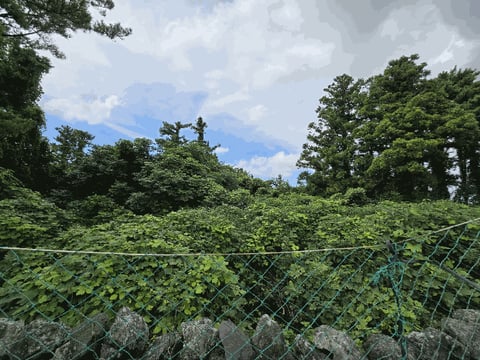 물건 사진 34