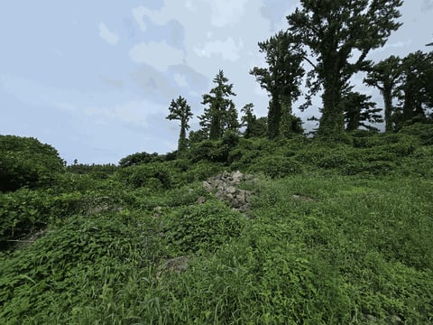 물건 사진 37
