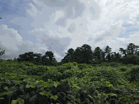 물건 사진 38