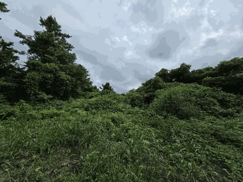 물건 사진 39