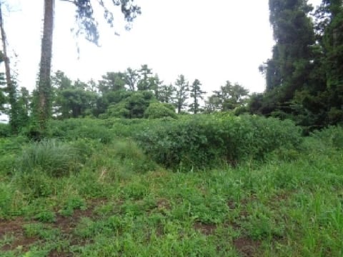 물건 사진 5