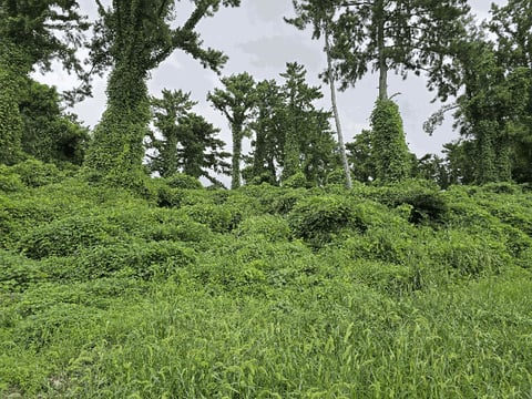 물건 사진 48