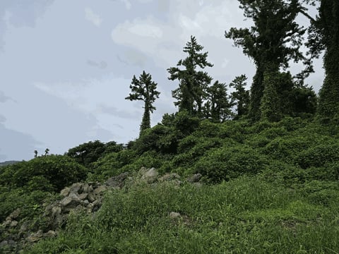 물건 사진 49