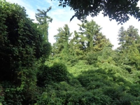 물건 사진 7