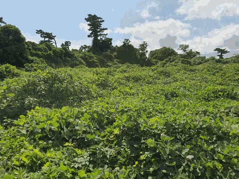 물건 사진 11