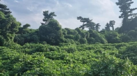 물건 사진 10