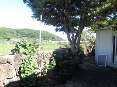 물건 사진 15