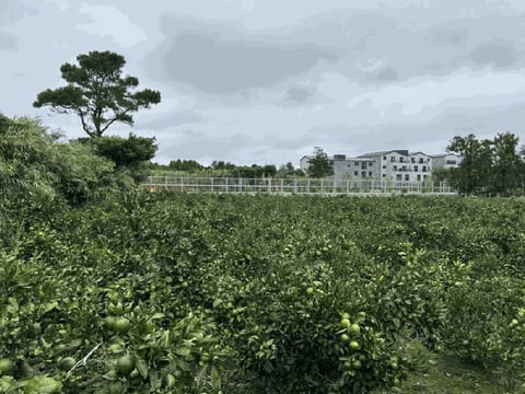 물건 사진 21