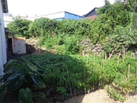 물건 사진 12