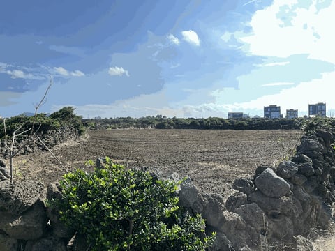 물건 사진 15