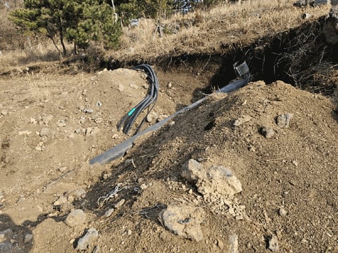 물건 사진 56