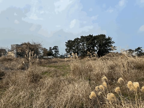 물건 사진 12