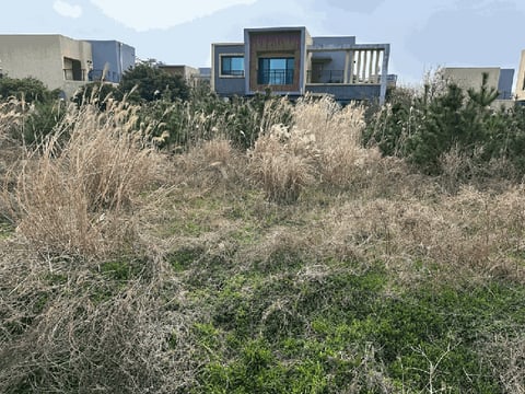 물건 사진 7