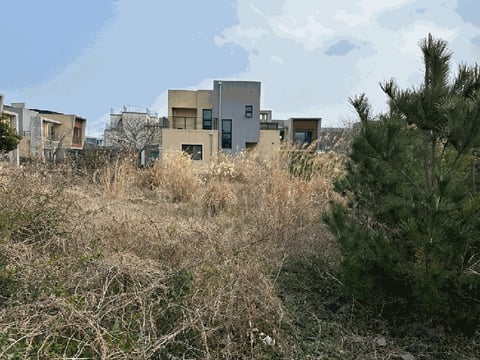 물건 사진 10