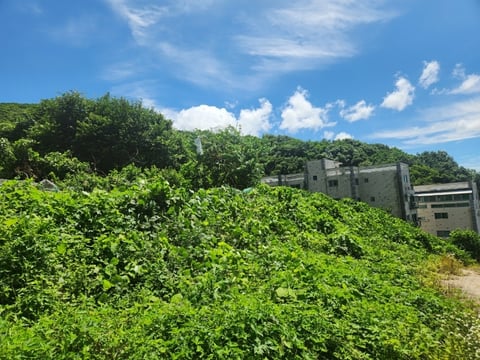 물건 사진 17