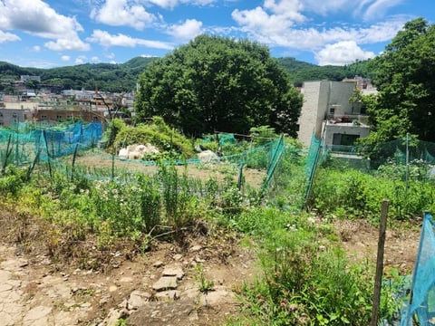 물건 사진 18