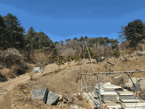 물건 사진 13