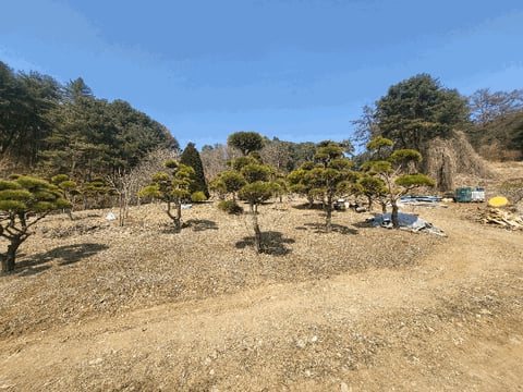 물건 사진 14